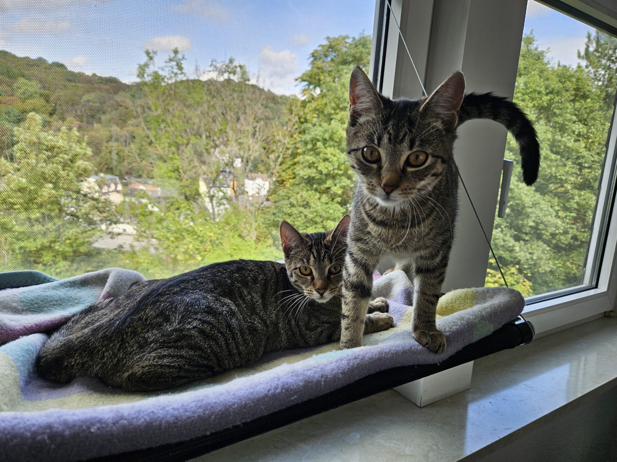 Rosa und Amy