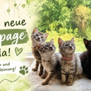 Unsere neue Homepage ist da – Tiernothilfe Hagen