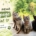 Unsere neue Homepage ist da – Tiernothilfe Hagen