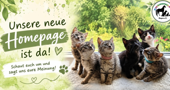 Unsere neue Homepage ist da – Tiernothilfe Hagen