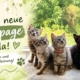 Unsere neue Homepage ist da – Tiernothilfe Hagen