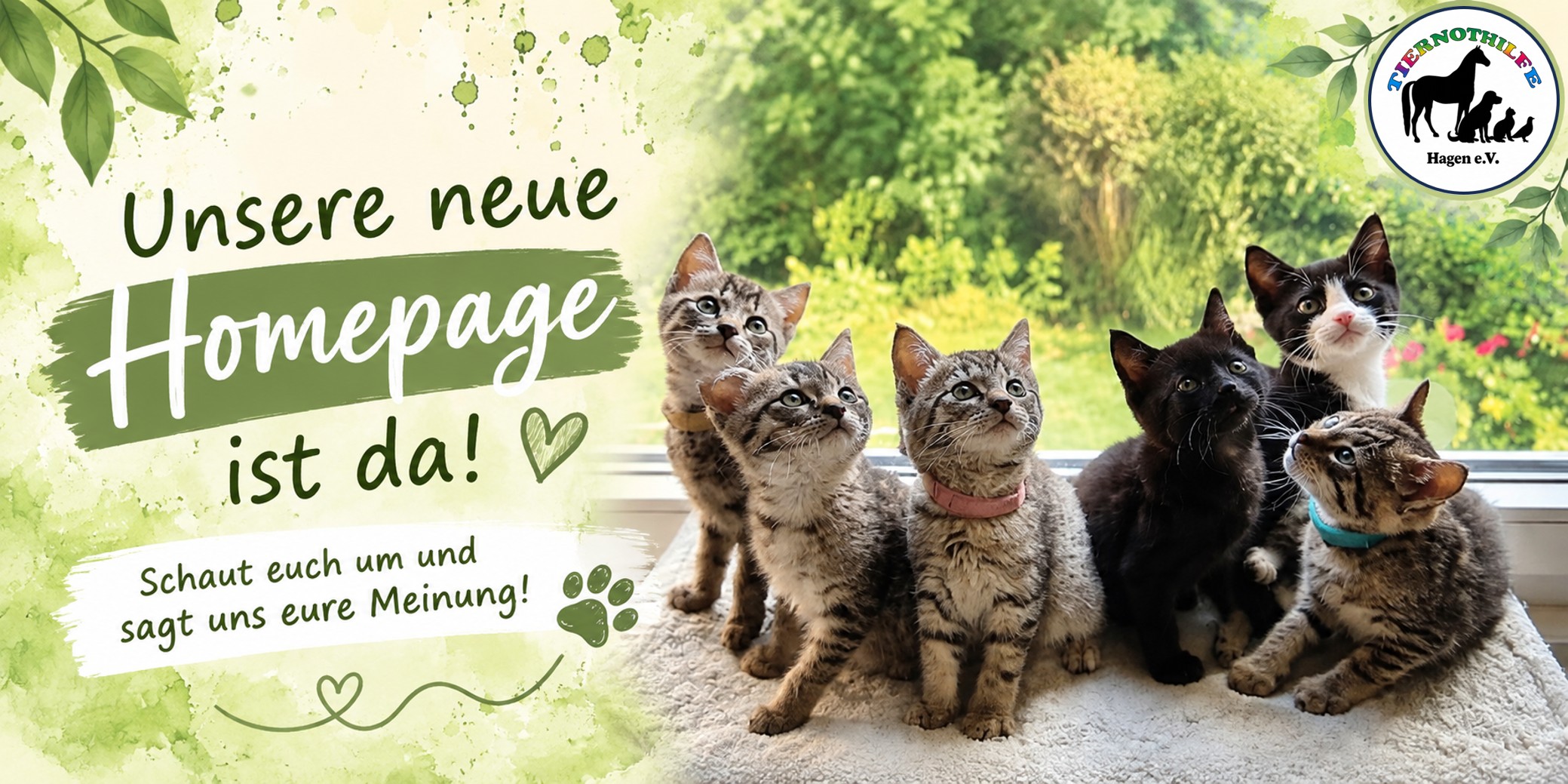 Neue Homepage Unsere neue Homepage ist da – Tiernothilfe Hagen