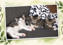 Pippi, Annika und Tommy gemeinsam in ihrem neuen Zuhause