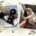 Shadow und Snow entspannt in ihrem neuen Zuhause
