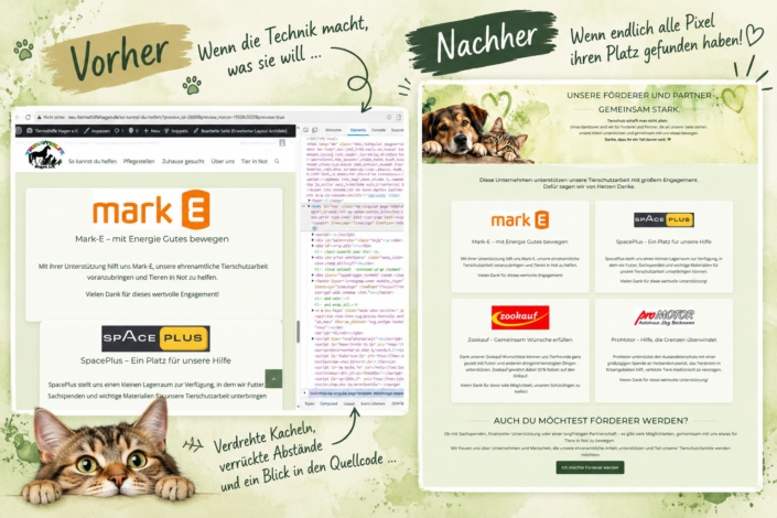 Vorher–Nachher_ Website-Relaunch mit Pfoten